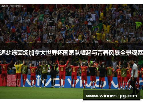 逐梦绿茵场加拿大世界杯国家队崛起与青春风暴全景观察 逐梦绿茵场加拿大世界杯国家队崛起与青春风暴全景观察