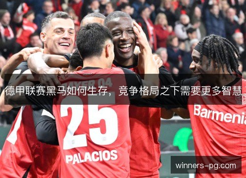 德甲联赛黑马如何生存，竞争格局之下需要更多智慧